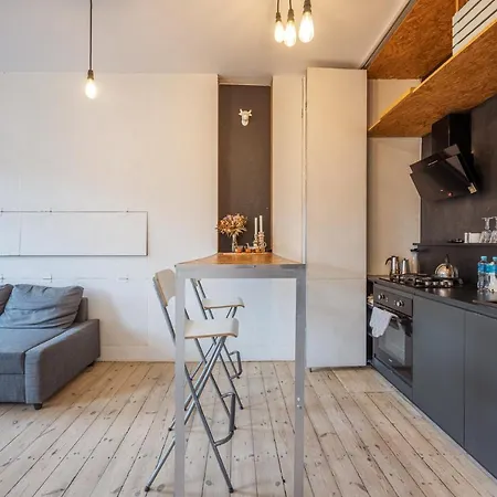 Historic Mikolaja Reja Apartment